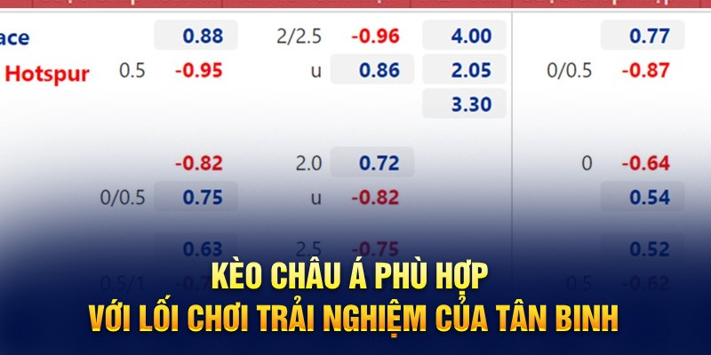 Kèo châu Á phù hợp với lối chơi trải nghiệm của tân binh 