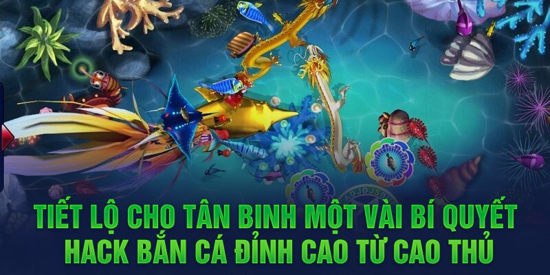 Tiết lộ cho tân binh một vài bí quyết hack bắn cá đỉnh cao từ cao thủ