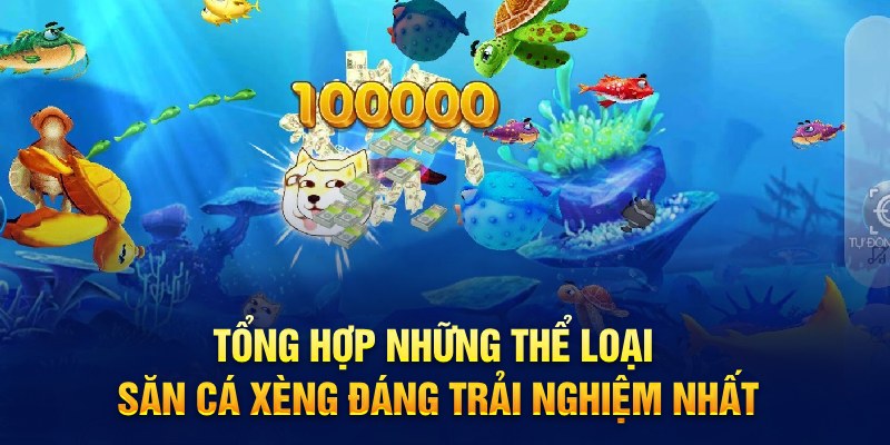 Tổng hợp những thể loại săn cá xèng đáng trải nghiệm nhất